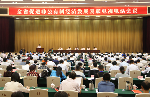 仁和集團榮膺江西省先進(jìn)非公有制企業(yè)